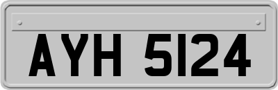AYH5124