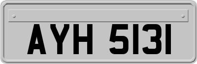 AYH5131