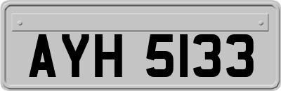 AYH5133