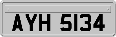 AYH5134