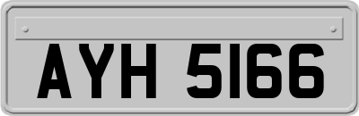 AYH5166