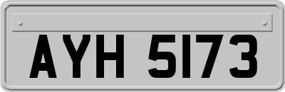 AYH5173