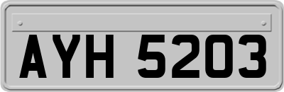 AYH5203