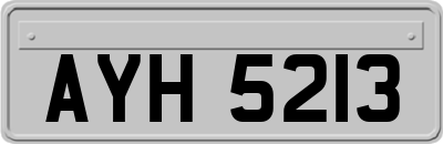 AYH5213