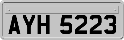 AYH5223