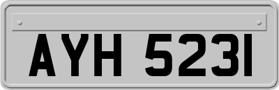 AYH5231