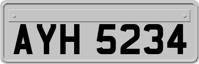 AYH5234