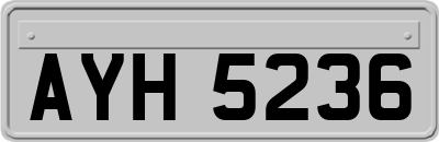AYH5236