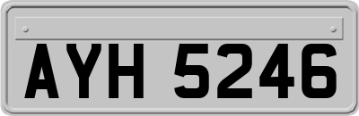 AYH5246