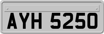 AYH5250
