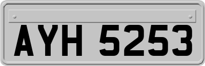 AYH5253