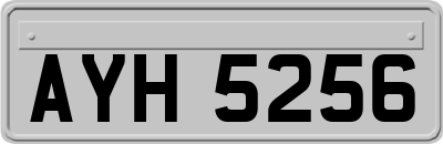 AYH5256