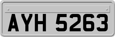AYH5263