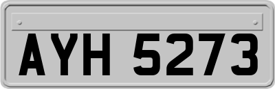 AYH5273