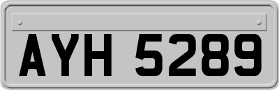 AYH5289