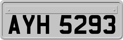 AYH5293