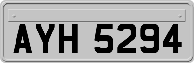 AYH5294
