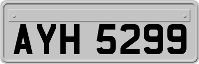 AYH5299
