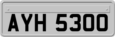 AYH5300