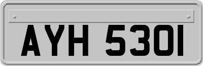 AYH5301
