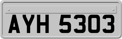 AYH5303