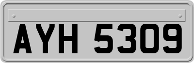 AYH5309