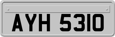 AYH5310