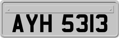 AYH5313