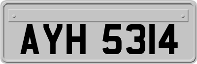 AYH5314