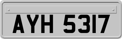 AYH5317