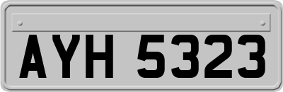 AYH5323