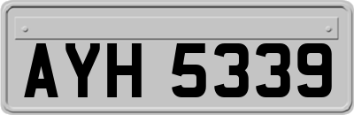 AYH5339