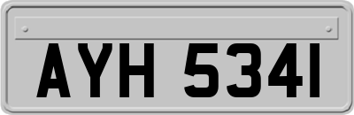 AYH5341