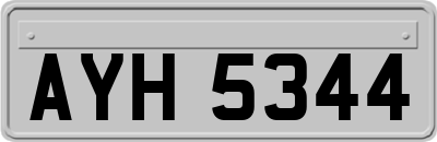 AYH5344