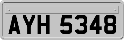 AYH5348