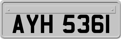 AYH5361