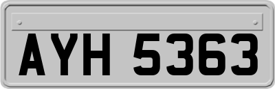 AYH5363