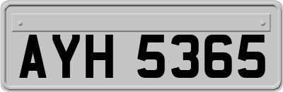 AYH5365