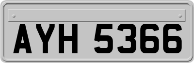 AYH5366