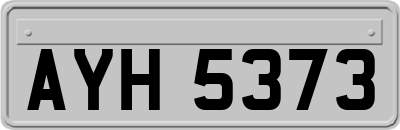 AYH5373