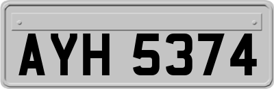AYH5374