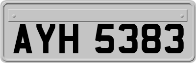 AYH5383