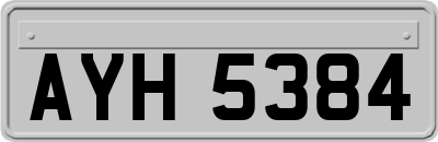 AYH5384