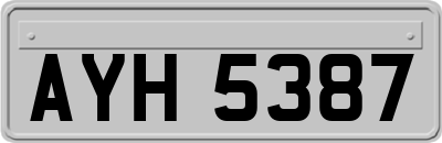 AYH5387
