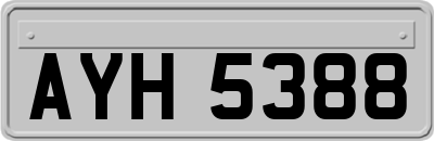 AYH5388