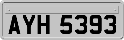 AYH5393