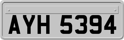AYH5394