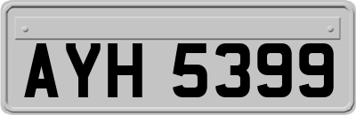 AYH5399
