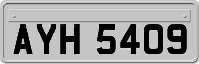 AYH5409