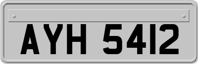 AYH5412